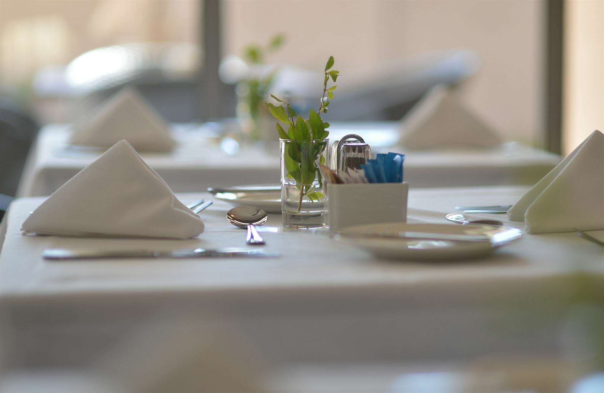 גאבורון Regent Hotel City מראה חיצוני תמונה